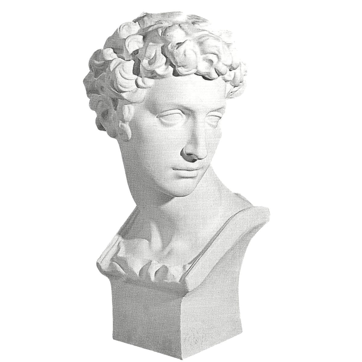Bust in Plaster Y10 (180 x 400 x 180 mm)