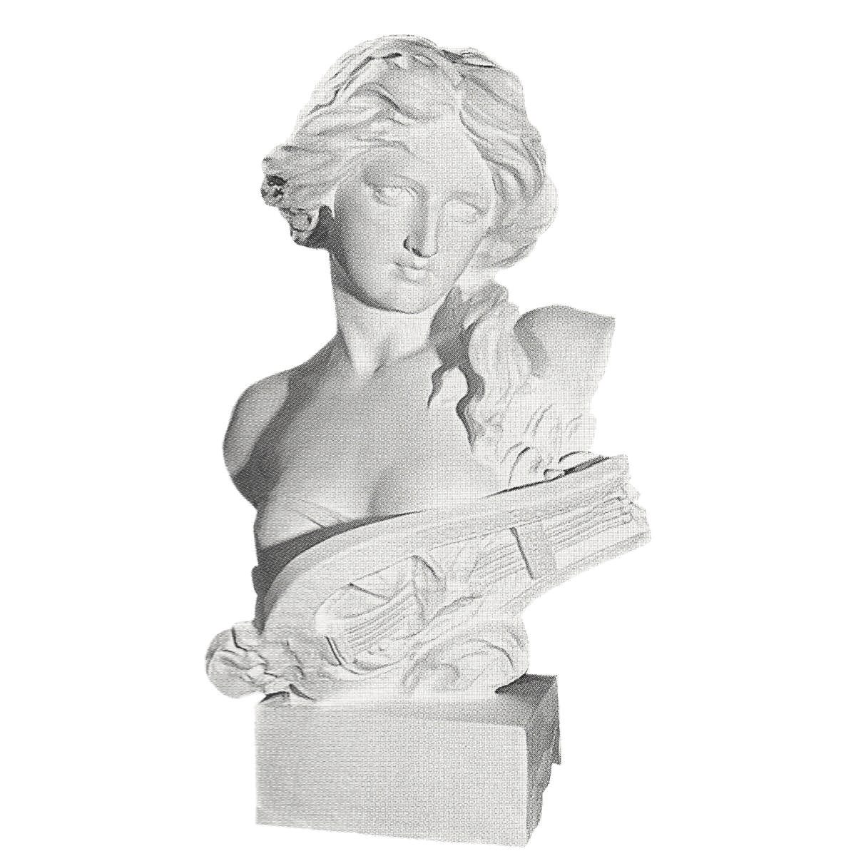 Bust in Plaster Y4 (700 x 420 mm)