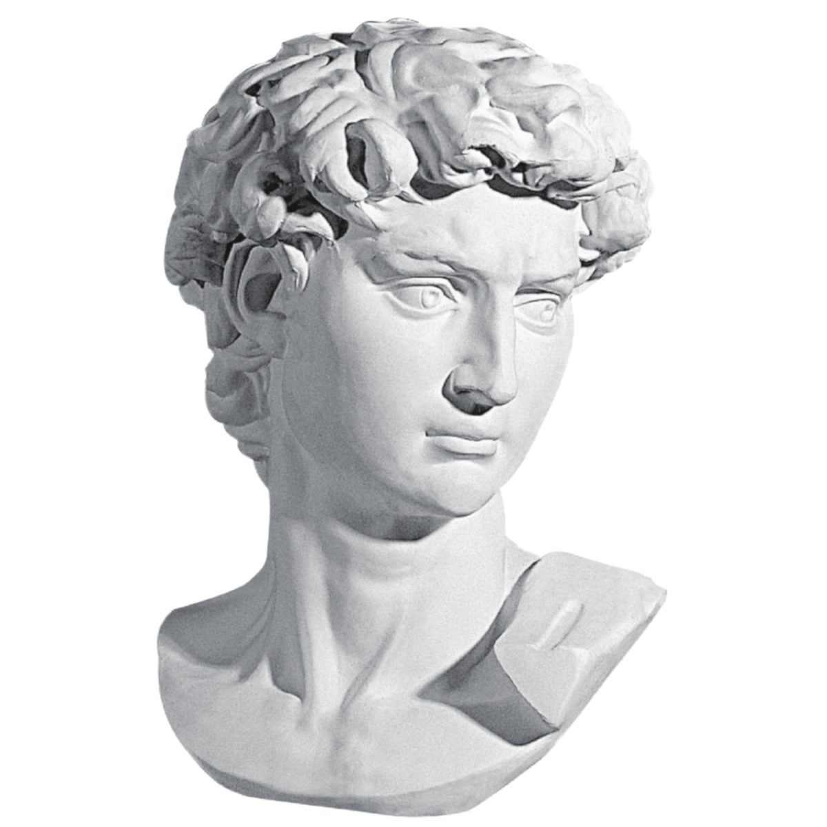 Bust in Plaster Y5 (600 x 300 x 350 mm)