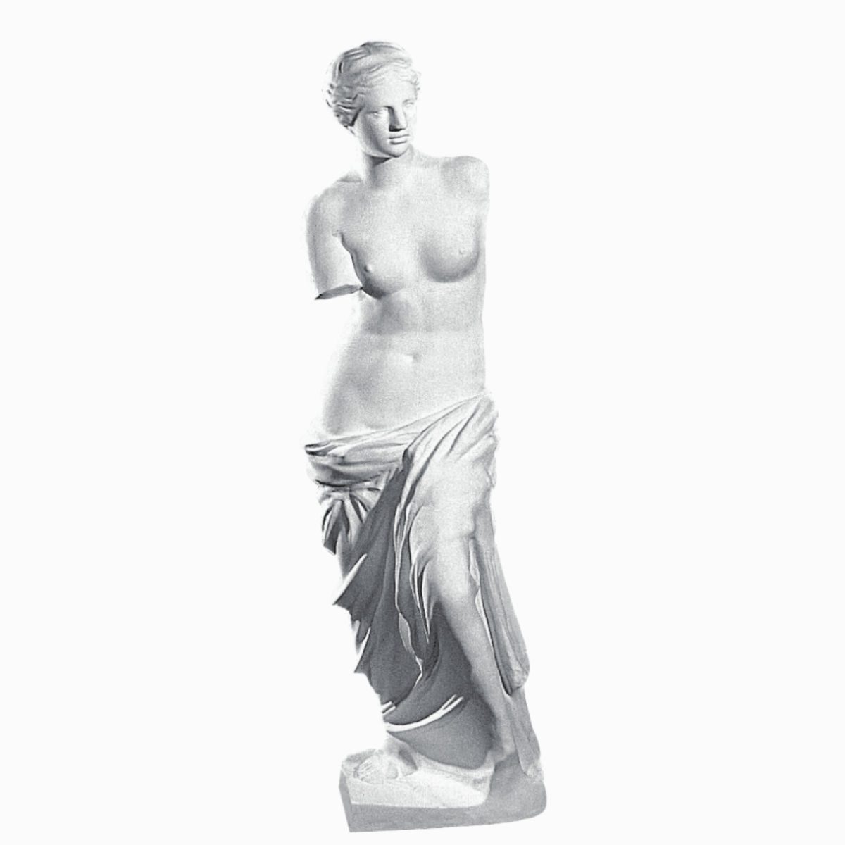 Bust in Plaster Y7 (1100 x 300 mm)