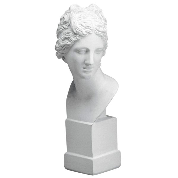 Busto em Gesso Y8 (120 x 500 x 120 mm)