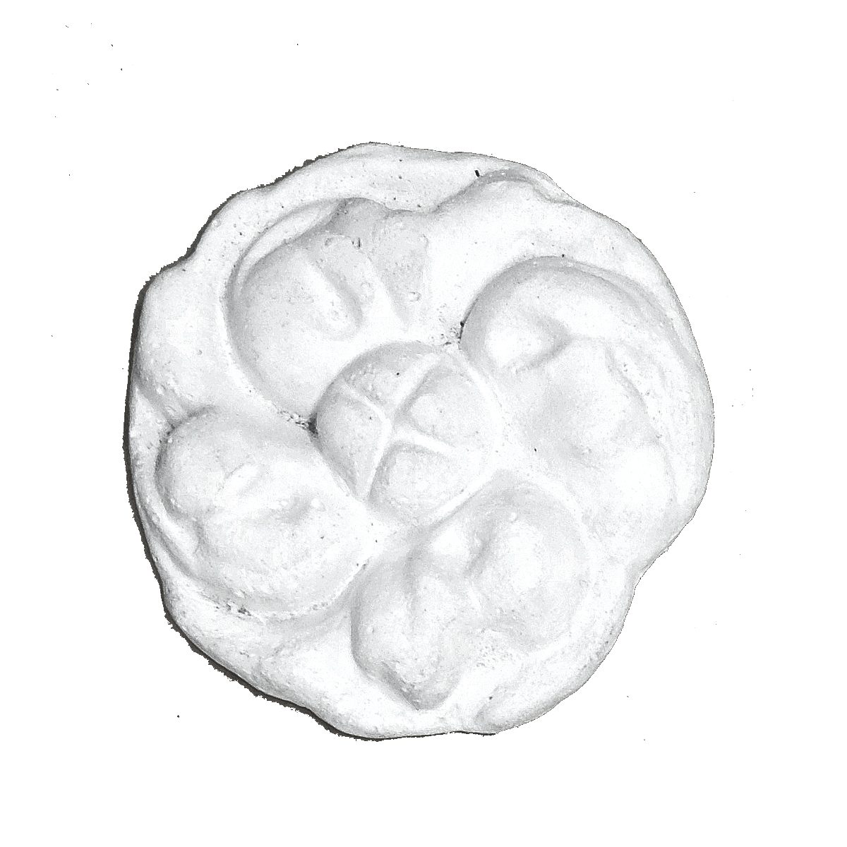 Aplique em Gesso DH_P4 (45 mm)