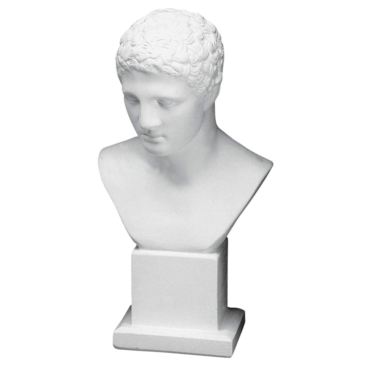 Bust in Plaster YB5 (500 x 250 mm)