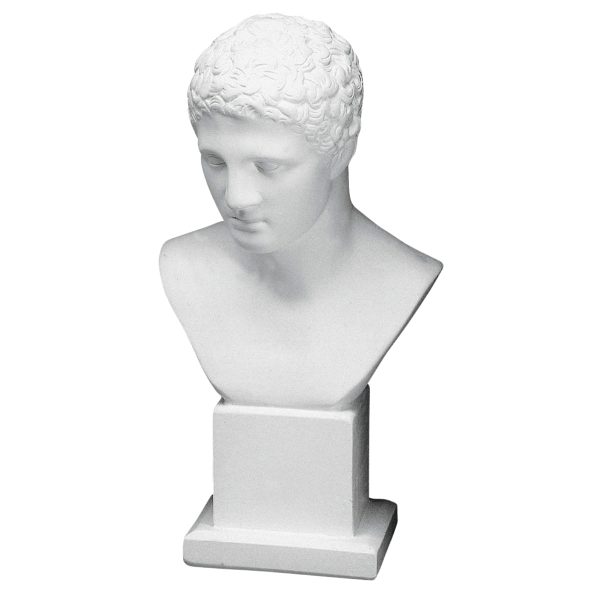 Bust in Plaster YB5 (500 x 250 mm)